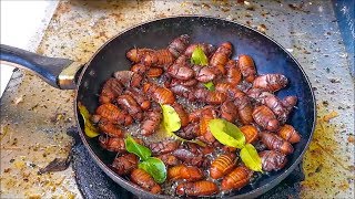 Amazing food  Fried Cockchafer Bug  Awesome Thai Food Recipes   Asian food [upl. by Gnaw51]