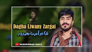 Pashto New Song 2024 Nosherwan Ashna Dagha Liwany Zargai  داغہ لیونی زڑگئ [upl. by Eiramlehcar]