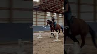 love this songgg ❤️❤️ grateful horse equestrian eventing dressage crosscountry showjumping [upl. by Gael]