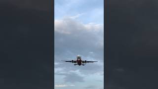 AirAsia Philippines A320 Overhead 🛬 airasia a320 airbus planespotting aviation [upl. by Ellinet]