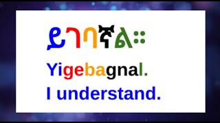 How To Say quotIll Take Ill Visit I Understandquot In AmharicAmharic PhrasesAmharic አማርኛ [upl. by Ainelec]