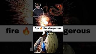 Fire the dangerous snake 🐍 youtube snake bitedangersnakemoviedangersnake [upl. by Leary]