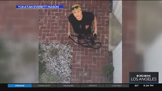 Long Beach woman cursing neighbors yelling racial slurs [upl. by Suciram]