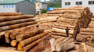 Wooden Furniture Mass Production Factory Wood Couch Manufacturing Process [upl. by Rufus]