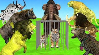 Lion Save Tiger From Wild Buffalos ESCAPE Cage Battle Animal Epic Fight Cartoon [upl. by Savell]