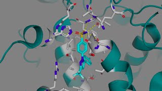 Celecoxib Celebrex and other COX2 Selective Inhibitors [upl. by Oigile]