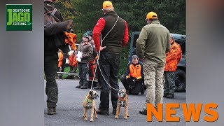 Pürzelprämie verlängert Leiche gefunden Aufruhr bei Stöberjagd u w – DJZNews 462018 [upl. by Mikahs]