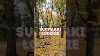 🛶🍞 Sucharek Łódzki [upl. by Sension]