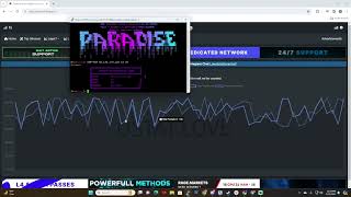 PARADISE BOTNET HITTING 300GIGS RAW UDP Best botnet 2024 slamming all games servers and websites [upl. by Nosniv]