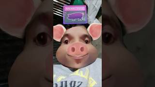 🤣 wait for me 🤣 trying tik tok filters 🤣 49 funny animals comedy duet reaction [upl. by Ennelram]