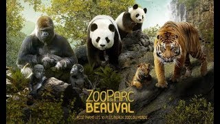 Zoo Parc de Beauval  Mai 2018 [upl. by Anaujnas]