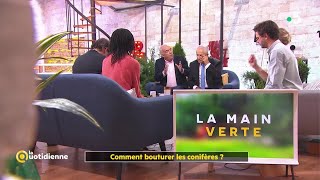 Comment bouturer les conifères   La Quotidienne [upl. by Tanya623]