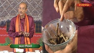 కటక రోహిణితో ఔషధ గుణాలు  Benefits of PicrorhizakurroaKutki  Veda Vaidhyam  Hindu Dharmam [upl. by Chadburn]