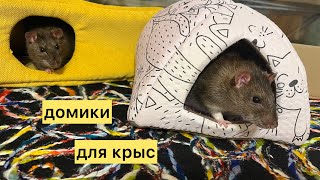 Домики для крыс rat ratslife ratlove грызуны крысы домики питомцы аnimals [upl. by Sirkin]