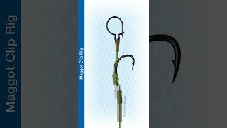 Shorts How To Tie The Maggot Clip Rig [upl. by Mair675]