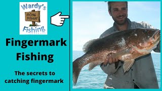 Fingermark Fishing Secrets to catching fingermark [upl. by Naharba]