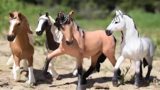 Homeland Trailer  Schleich Horse Movie [upl. by Haskel]