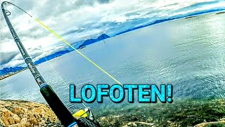 Shore fishing on Lofoten Norway [upl. by Raffarty]