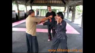 Silat  Training in Indonesia 2011  2012 [upl. by Eiuol745]