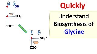 Glycine biosynthesis [upl. by Dam]