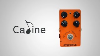 Caline Orange Burst CP18 Demo [upl. by Belter]