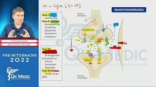 Farmacología en Neurología  QX MEDIC PRE INTERNADO 2022 [upl. by Nidnarb771]