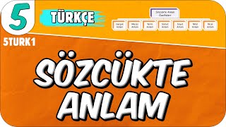 Sözcükte Anlam 📙 5TURK1 2025 [upl. by Norab]