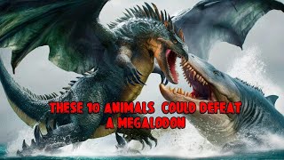 10 Animals that could defeat a megalodon [upl. by Etnahsal798]