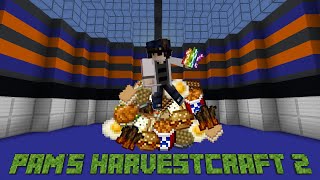 Pams Harvestcraft 2 Mod Showcase amp Tier List Minecraft 1165 [upl. by Mohl]