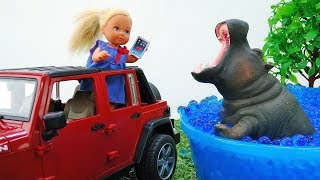 Barbie baby doll videos  Toys in Safari park [upl. by Ylek]