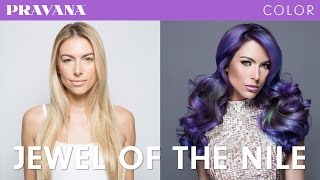 HowTo  Purple Hair Jewel Technique with PRAVANA VIVIDS Jewels [upl. by Lecirg]