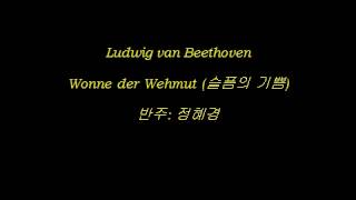 Beethoven  Wonne der Wehmut 슬픔의 기쁨  Accompaniment [upl. by Heise]