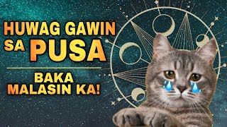 HUWAG GAWIN ITO SA PUSA PARA PATULOY ANG SWERTE  Never do this to your LUCKY CAT 2025 [upl. by Kittie726]