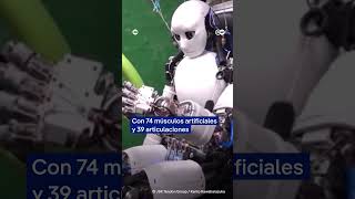 Conoce a tu chofer robot [upl. by Nabroc145]