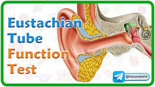 Eustachian Tube Function Tests Animation👂 ENT lectures MBBS 3rd year [upl. by Lala424]