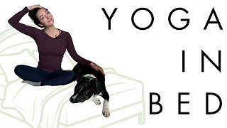 Bedtime Yoga you can do in BED  Beginner Friendly [upl. by Ludewig360]