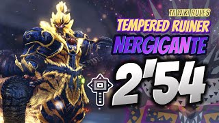 Tempered Ruiner Nergigante  Hammer Solo 0254 TA Rules  MHW Iceborne  Ode to the Destruction [upl. by Ateekahs]