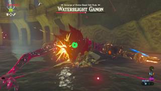 Waterblight Ganon VS Ancient Arrows [upl. by Akinuahs853]