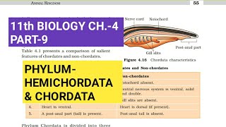 Class 11 BiologyCh4 Part9PhylumHemichordata amp ChordataStudy with Farru [upl. by Grove]