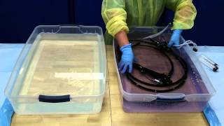 Flexible Endoscope Reprocessing  Disinfection [upl. by Formica]