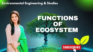 FUNCTION OF ECOSYSTEM  EVS  SCTE amp VT  CHAPTER 3 b  ER SMITA PATNAIK  EDU [upl. by Eixela]