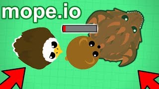 Mopeio The Food Chain In Action  Zombie Infection Gameplay Mopeio New Beta Update [upl. by Morganstein]