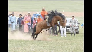 Mongolian Rodeo Naadam Монгол морь наадам [upl. by Mariska360]