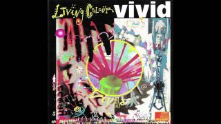 Living Colour  Whats Your Favorite Color High QualityOnly audio [upl. by Seale]