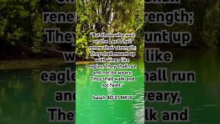 Trust in God trustgod bible scripture bibleshorts shorts fypシ゚ fypシ゚viral [upl. by Akehsyt604]