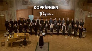 Koppången  Corus Acusticus [upl. by Kolva]