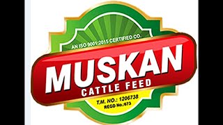 Muskan Cattle Feed Raikot  12va Lucky Draw  17 November 2024 [upl. by Lluj]