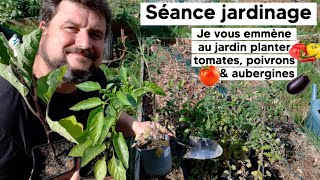 Comment bien PLANTER ses TOMATES POIVRONS amp AUBERGINES  🍅🌶️🍆 [upl. by Hnilym]