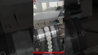 NSL160 Strip Packing Machine for Tablets [upl. by Nojad]