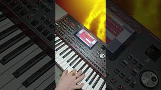 Pondey ji ka Veta Hu  keyboard Cover  Bhojpuri Song  instrumental  Shorts [upl. by Yrek]